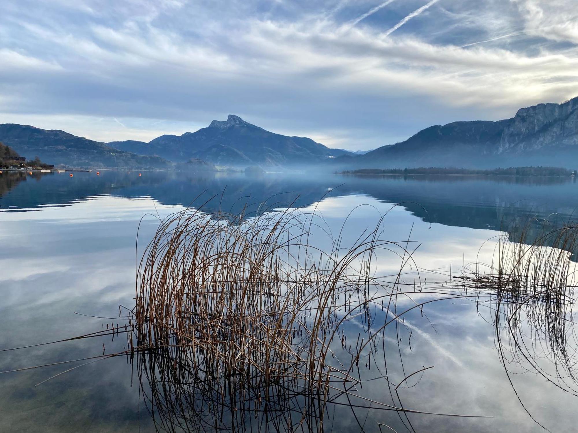 17Er Apartment Mit Sauna Und Privater Garage Mondsee Exteriör bild